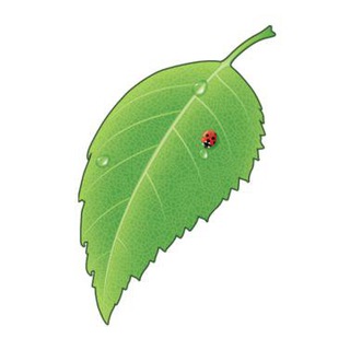 EverlastingSummerBot