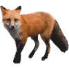 Fauna emoji