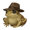 Frogs in Hats 2 ( ) emoji
