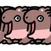 (@ShoutoEmoji) Little Hippo emoji