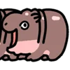 (@ShoutoEmoji) Little Hippo emoji