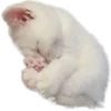 ⋆⭒˚｡ @igotsoul emoji