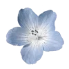 ‧₊˚🎐˖₊˖𝒷𝓁𝓊𝑒 𝒹𝒾𝓋𝒾𝒹𝑒𝓇𝓈🩵‧₊ | @esthedia emoji