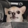 @tssumiiko0 :: @fStikBot emoji