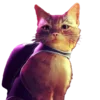 Stray @Faittereya emoji