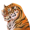 @perfectvista emoji