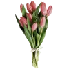 pinkii @TgEmodziBot emoji