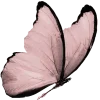 pinkii @TgEmodziBot emoji