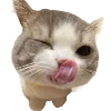 popipopipu @gallactose emoji
