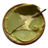 𓂃shıᦅrı 🍎 @yonstick 栞 :: @fStikBot emoji