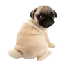 🎀больше @emojipipka emoji