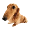 🎀больше @emojipipka emoji
