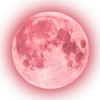 𝚳𝚶𝚶𝚴 🌙 ☞ @Premium_TG_emoji @TgEmojis_bot emoji