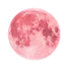 𝚳𝚶𝚶𝚴 🌙 ☞ @Premium_TG_emoji @TgEmojis_bot emoji