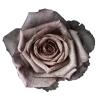 Адель by @Skeletta @TgEmodziBot emoji