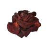 Адель by @Skeletta @TgEmodziBot emoji
