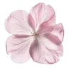 elegance ➜ @emoji1 emoji
