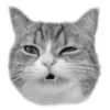 猫 @tj7dp emoji