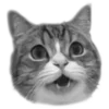 猫 @tj7dp emoji