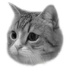 猫 @tj7dp emoji