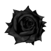 black. @barsmiu @TgEmodziBot emoji