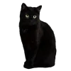 black. @barsmiu @TgEmodziBot emoji
