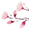 ℬ𝒶𝓁𝓉𝒾4𝓀𝒶🌸 @Flimins emoji