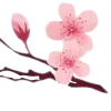 ℬ𝒶𝓁𝓉𝒾4𝓀𝒶🌸 @Flimins emoji