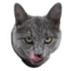 @shu_stickers : : @y_shugaylo emoji
