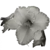 grey (?) @premiuss emoji