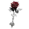 𝔐𝔬𝔯𝔟𝔦𝔡𝔦𝔱𝔞𝔱 𝔡𝔢𝔰 𝔖𝔢𝔦𝔫𝔰 @Melin0e emoji
