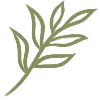 ты - настоящая @anna_zelenovaherbalist emoji
