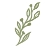 ты - настоящая @anna_zelenovaherbalist emoji