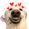 Пëсики ❤️ @byliyaglsv emoji