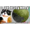 Куки Кот emoji