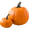 Halloween @netareels emoji