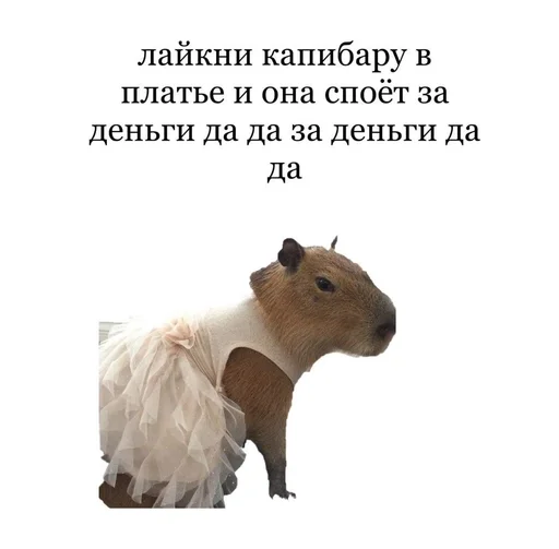 капибарка :: @fStikBot