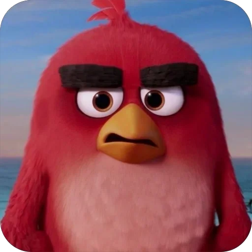 Angry Birds •