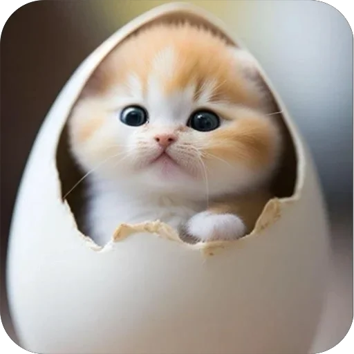 Нейросетные всратки (@persidskiimalchik)