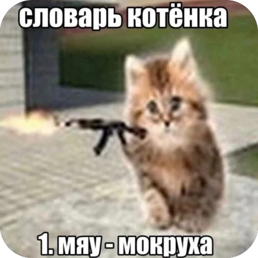 Словарь котёнка