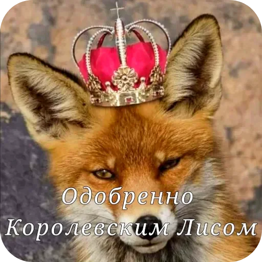 Лисы няшк и это факт @Eto_Teils @TgEmodziBot