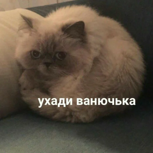 Мемы для АуТиСтОв