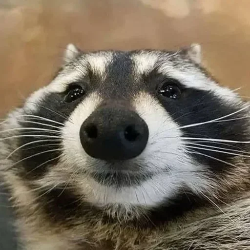 Больше стиков тут: @stikery4