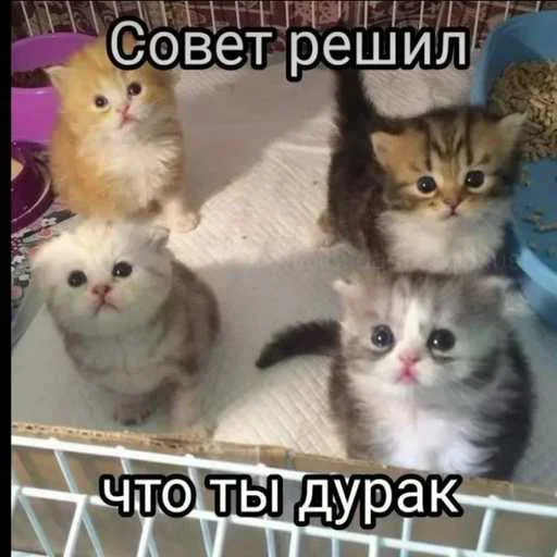 Больше стиков тут: @stikery4