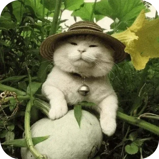 Больше стиков тут: @stikery4