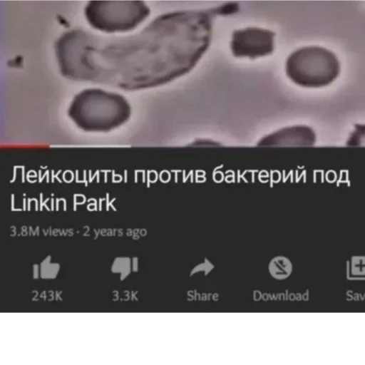 Больше стиков тут: @stikery4