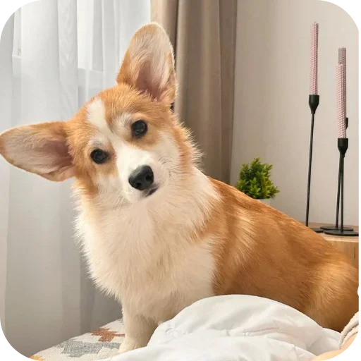 Больше стиков тут: