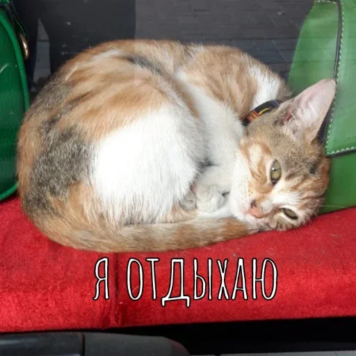 С новым годом!