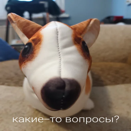 Блоптоп 10-летки