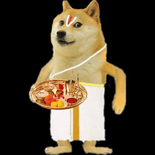 🇨 ʜᴇᴇᴍs ᴅᴀᴡ ⚠✨